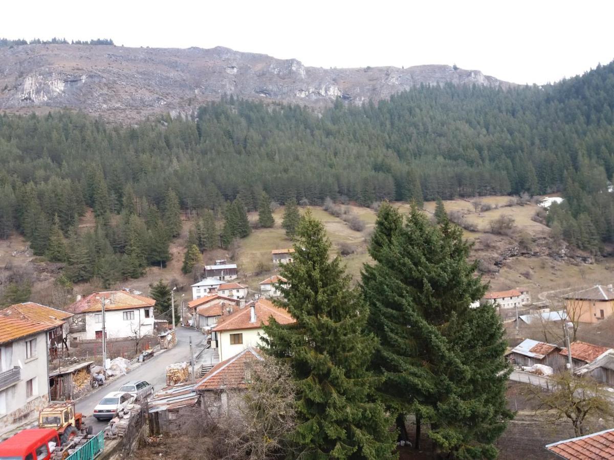 Къща За Гости Камината Trigrad Exteriér fotografie