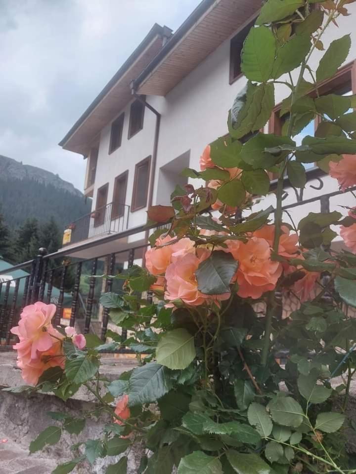 Къща За Гости Камината Trigrad Exteriér fotografie